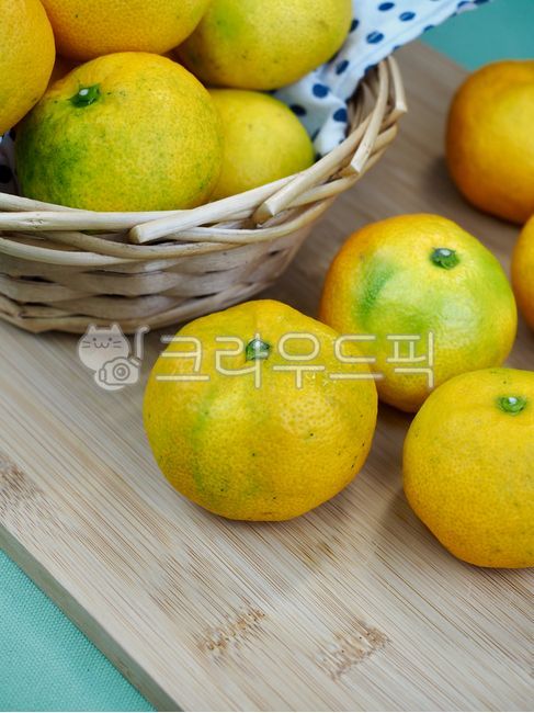 귤,제주감귤,제주도특산품,감귤,과일,제주도,노랑,음식,배경,tangerine,jejutangerine,jejuislandspecialties,fruit,jejuisland,yellow,food,background,citrusfruit,감귤류과일,식물