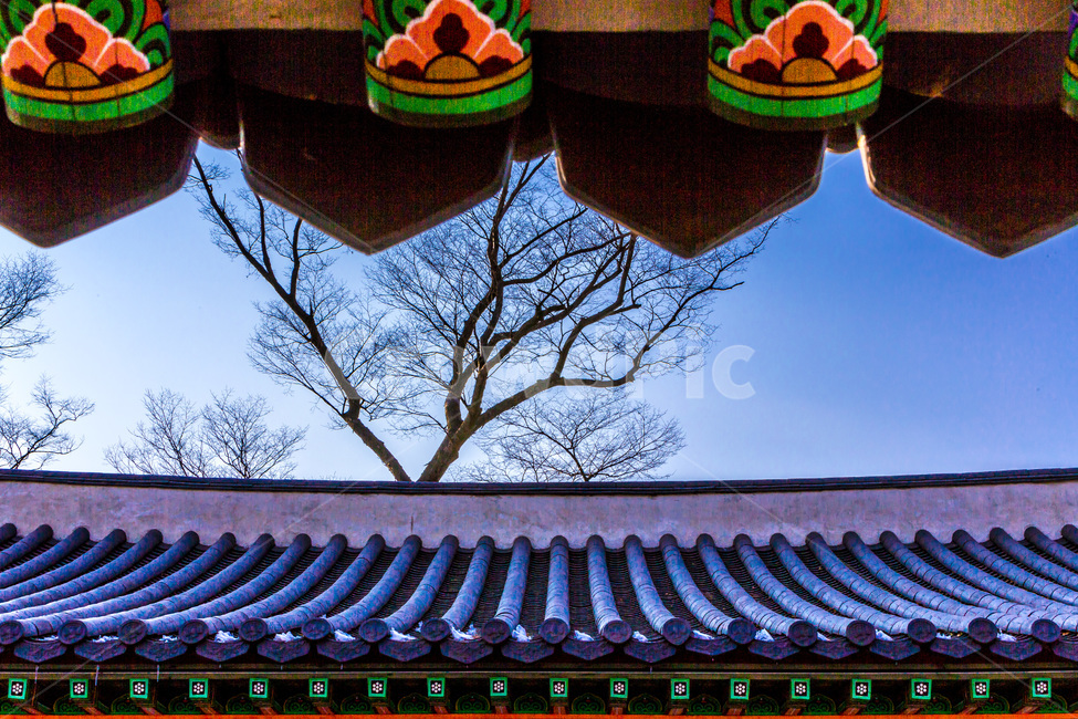 단청,기와,전통,문화유산,고궁,패턴,한국전통,한국문화,korean traditional,korean culture,건축물,건물외관,exterior,building,structure,architecture,construction