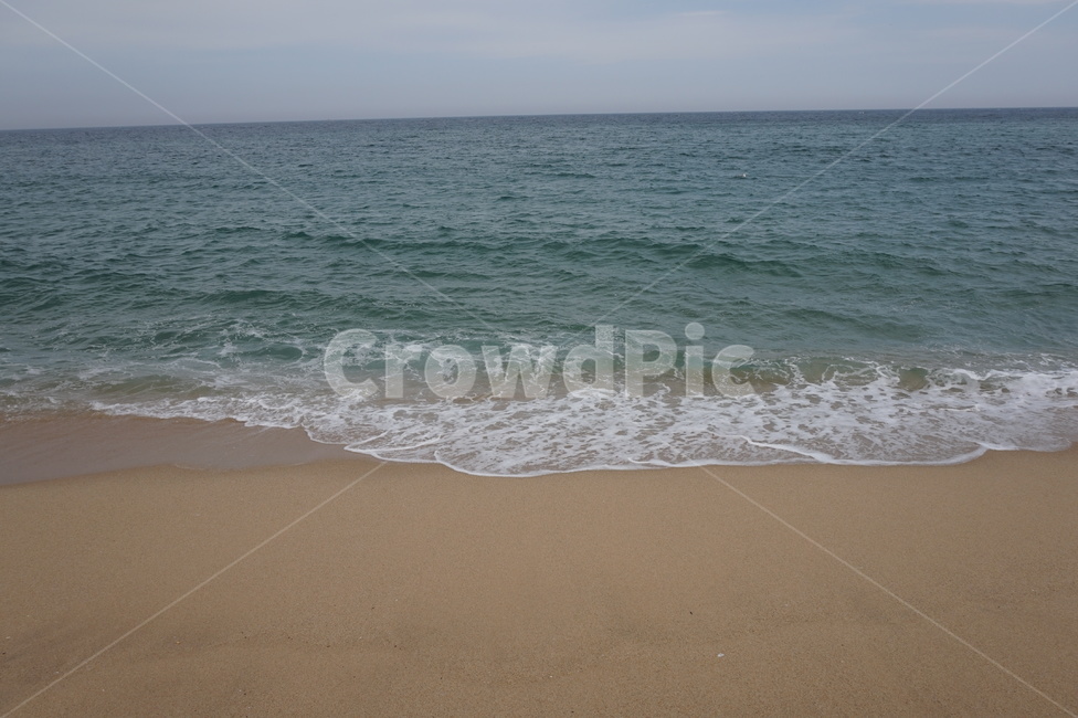 바다,거품,낮,해변,동해,자연,풍경,nature,landscape,해변,바다,beach,sea,water,물,outdoors,옥외,ocean,대양