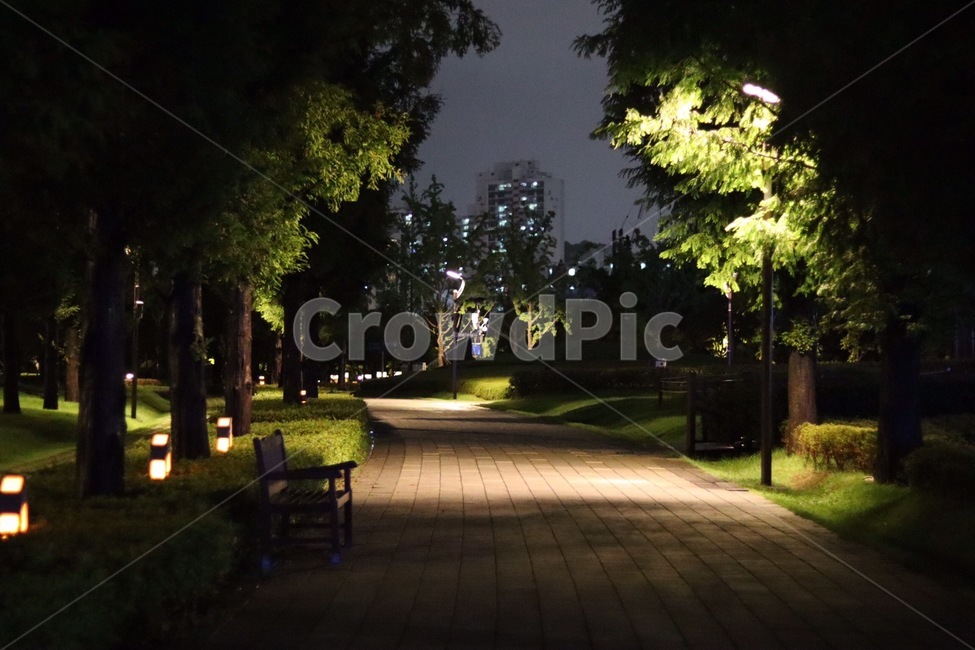 공원,park,나무,tree,밤,night,mood