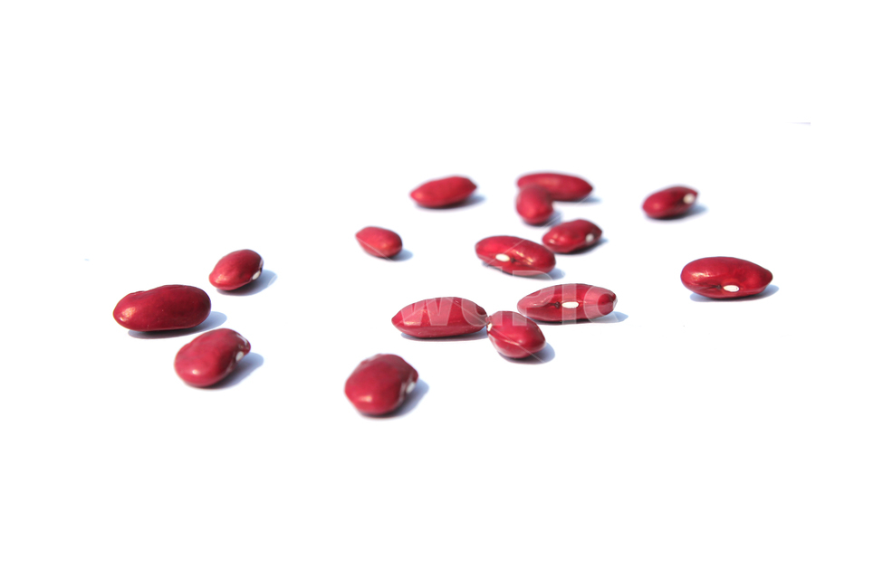 붉은콩,bean,콩,redbean,brown,closeup,dry,food,protein,red,seed,uncooked,vegetable,white,흰배경,야채,붉은색,빨강,말린,단백질,씨앗,요리재료,식재료,요리,음식,음식,식재료,요리,food,cook,meal,dishes,food reserves,콩류,견과류,beans,pulse,nuts,dry fruits,누끼,remove background