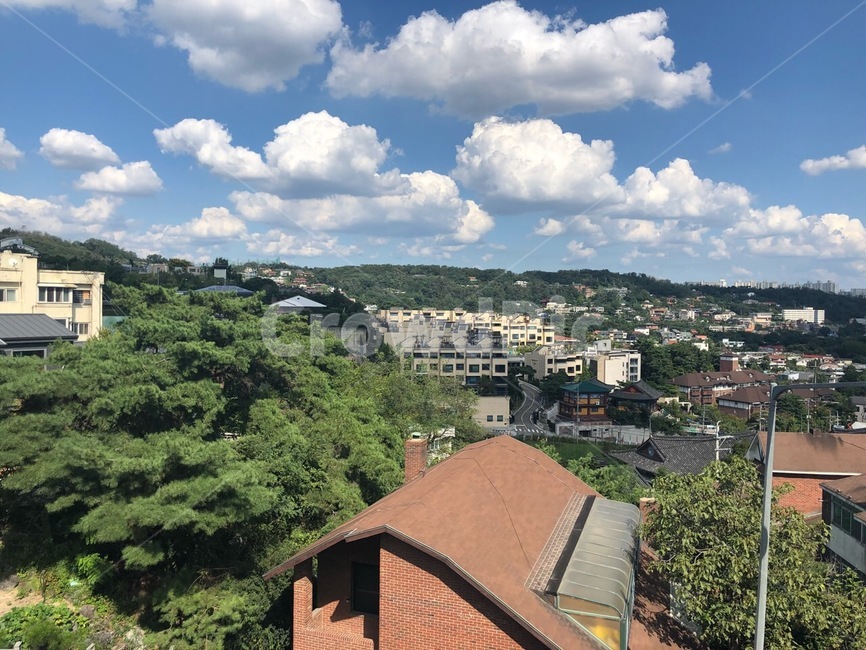 roof,지붕,구름,자연,파란