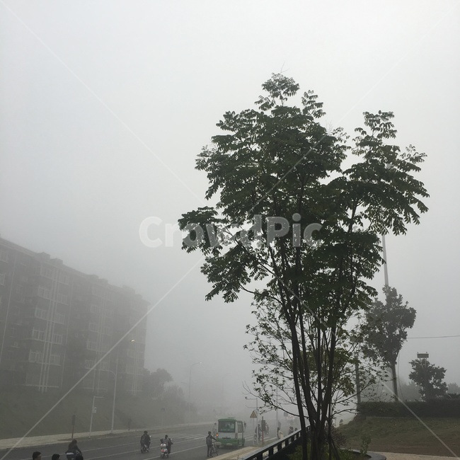 미세먼지,풍경,도로,환경오염,공기