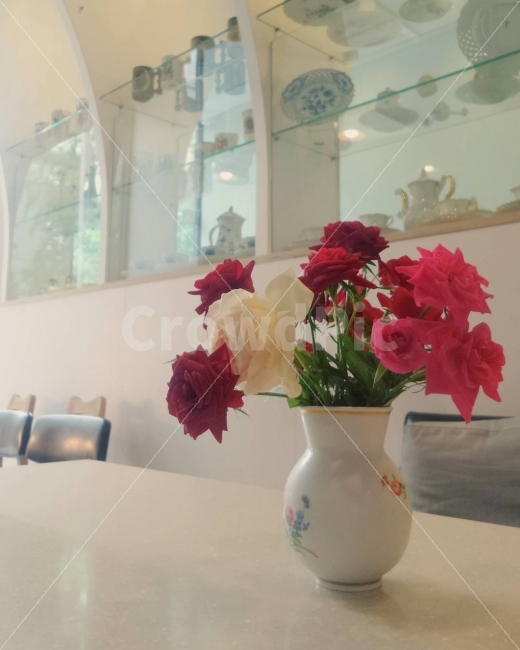 꽃,플라워,인테리어,공간,사진,식물,자연,plants,nature,꽃,flower,인테리어,실내디자인,interior design