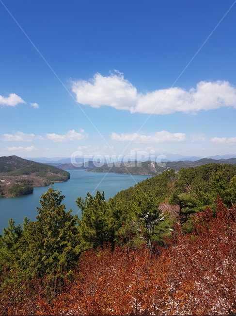 자연,맑음,힐링,나무,하늘