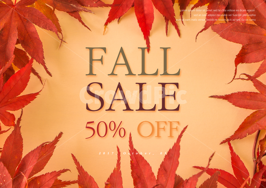 단풍잎,잎,나뭇잎,가을,이벤트,쇼핑,팝업,가을,계절,fall,autumn,season,축제,행사,festival,carnival,event,쇼핑,shopping,그래픽,일러스트레이션,graphic,illustration,plant,식물,leaf,maple leaf,tree,나무,maple,단풍