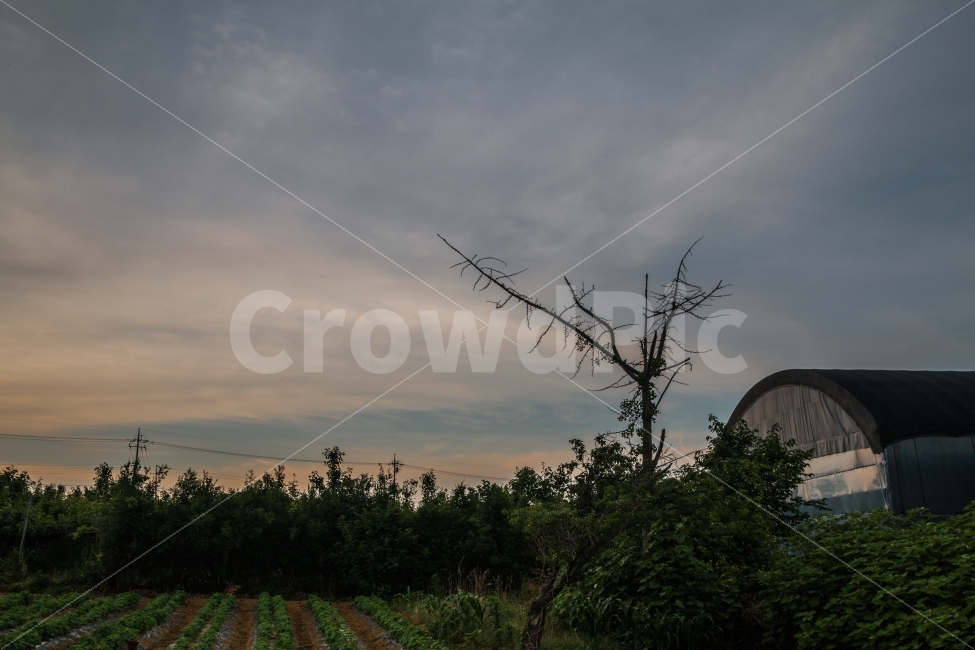 풍경,시골,농촌,노을,하늘,시골,마을,풍경,landscape,country,rural,town