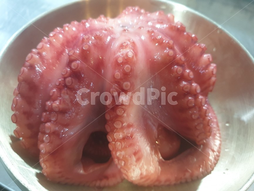 물,쭈꾸미,맛있는,별미,건강