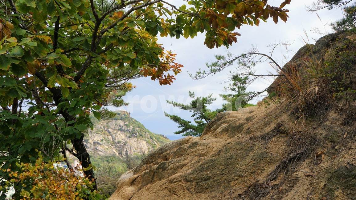 나무,녹색,숲,초가을,자연,nature,trees,green,woods,fall,autumn,sky,blue,바위,rocks,granite,화강암,자연,풍경,nature,landscape,tree,plant,식물,leaf,잎