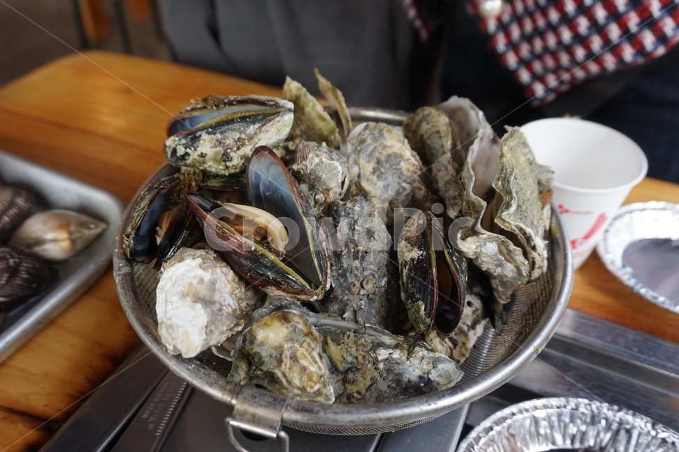 굴,석화,석화찜,굴찜,해산물,oyster,소주안주,싱싱한,어패류,음식,요리,해물,seafood,fresh,서해안,대천,대천해수욕장,바다,바다요리
