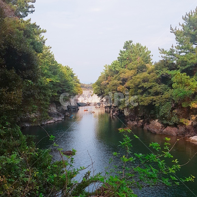 제주도,냇가,호수,강가,물