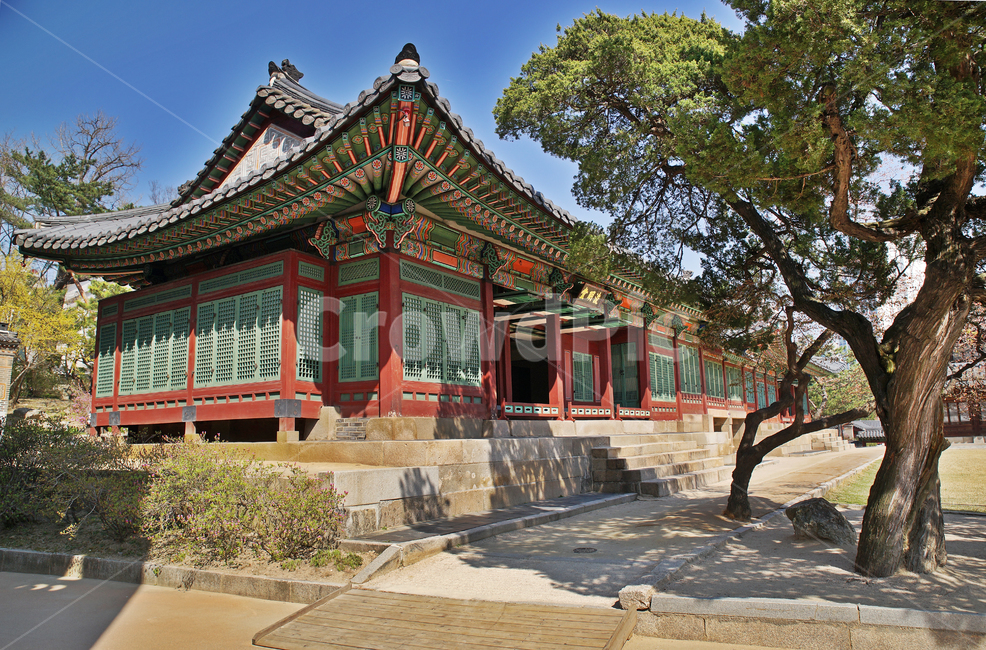 준명당,전각,덕수궁,궁궐,대한제국,고종,고목