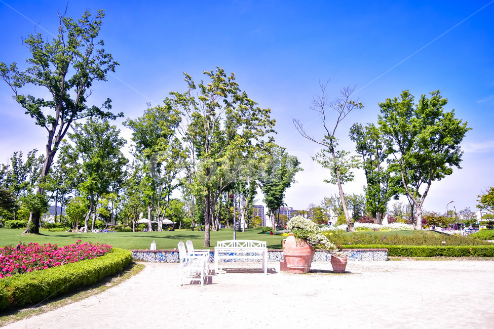 spring,Suncheon Bay,clear sky,garden fair,park