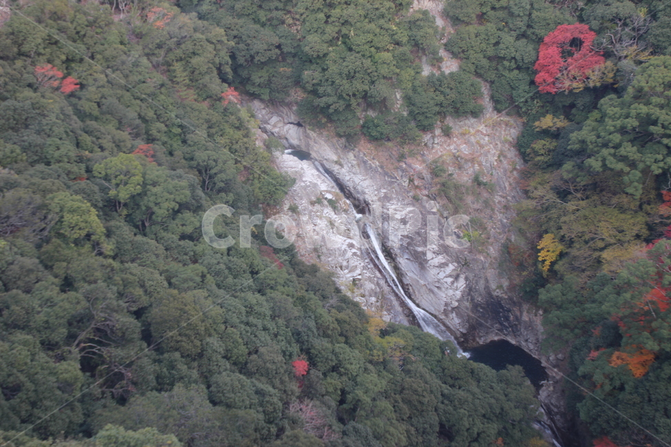nature,자연,vegetation,초목,plant,식물,자연,풍경,nature,landscape