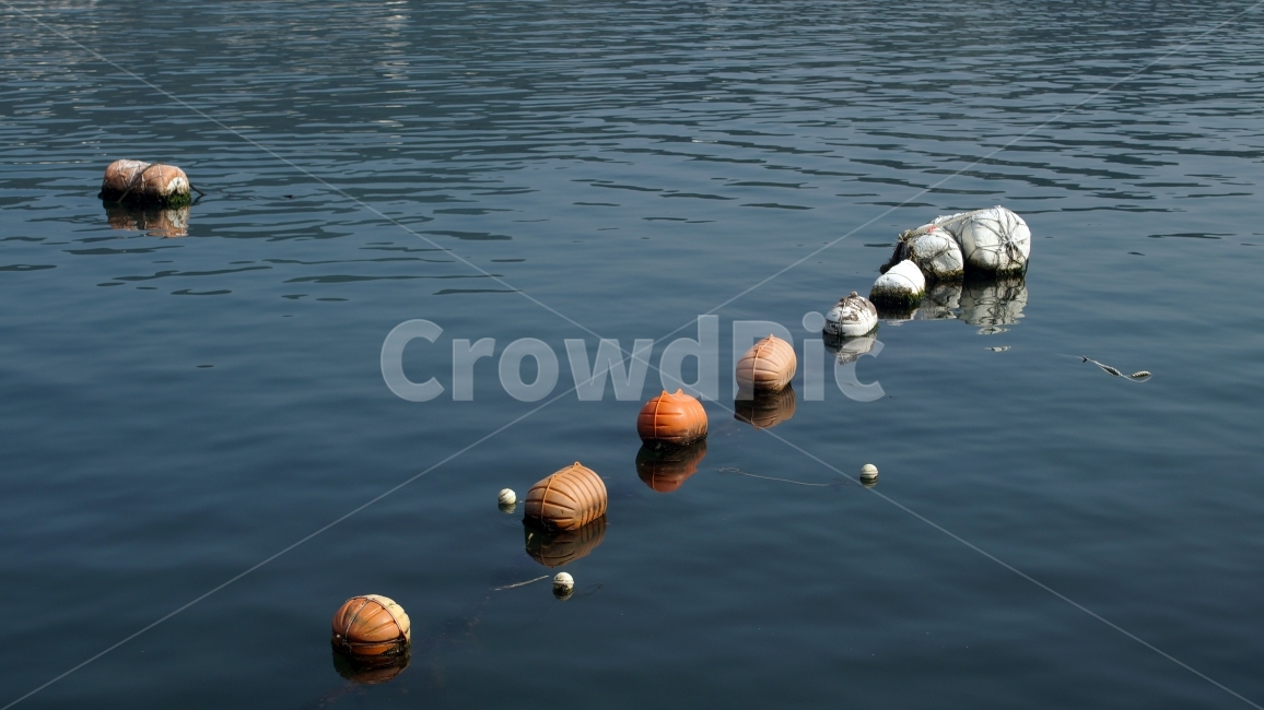 바다,해양,해안,물,둥둥,사물,물건,오브젝트,thing,object,matter