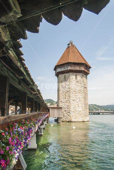 Chapel Bridge,lucerne,luzern,switzerland,swiss,chapelbridge