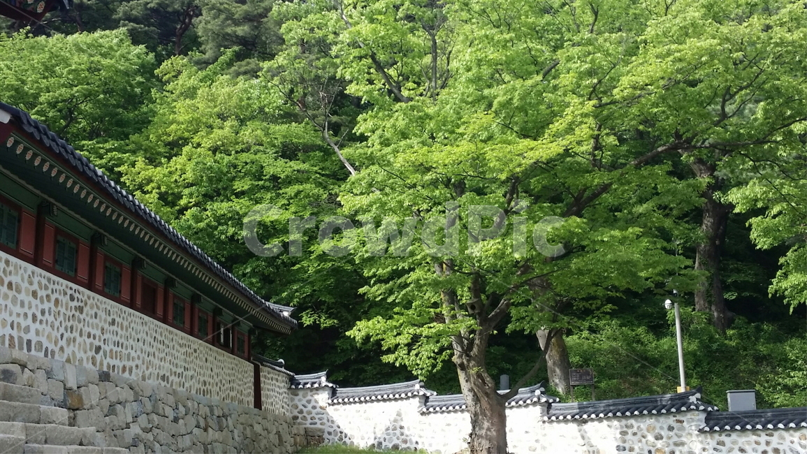 남한산성,성남,나무그늘,유적지,관광장소,휴식,그늘,구름,하늘,나무아래,plant,식물,tree,나무,들판,잔디