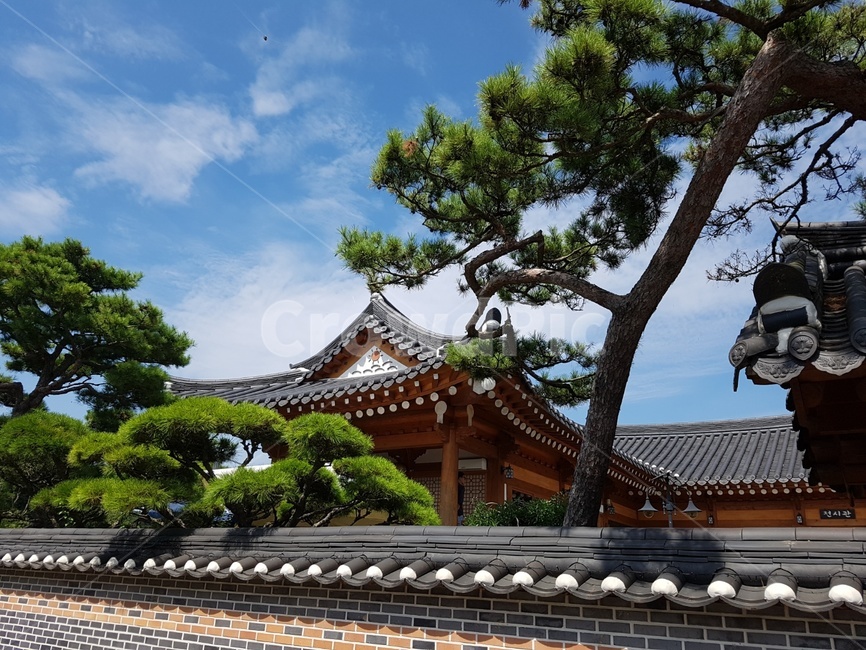 전통문화,한국전통,전통한옥,한옥과소나무,소나무,전통기와,한옥과하늘,기와,예쁜한옥,한국전통,한국문화,korean traditional,korean culture,건축물,건물외관,exterior,building,structure,architecture,construction