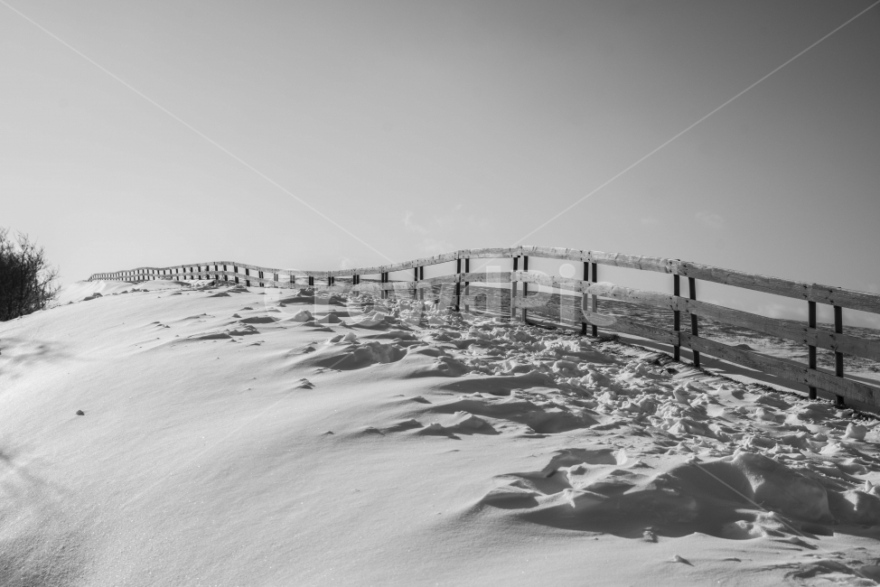 눈,겨울,울타리,풍경,양떼목장,겨울,계절,winter,season,자연,풍경,nature,landscape,흑백,모노톤,monochrome,black and white