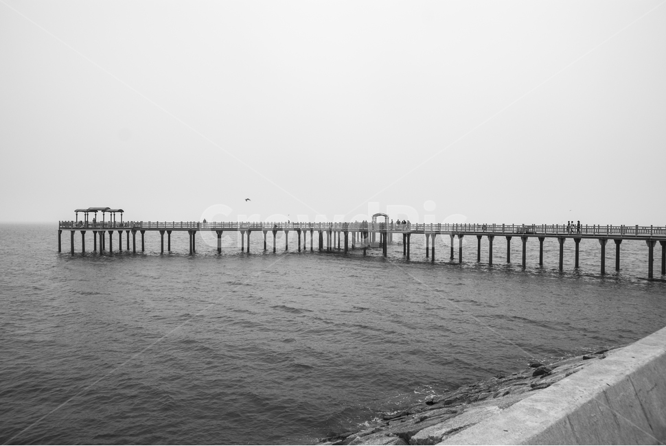 궁평항,서해바다,해상공원,port,포트,교각,pier