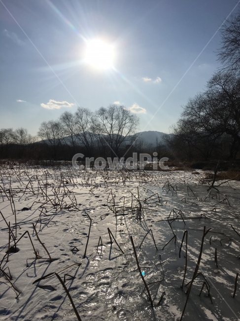 양평,한겨울,바람,추위,따뜻함,겨울,계절,winter,season,자연,풍경,nature,landscape,한국자연풍경,한국자연경관,korea nature landscape,outdoors,옥외,land,땅,water,물