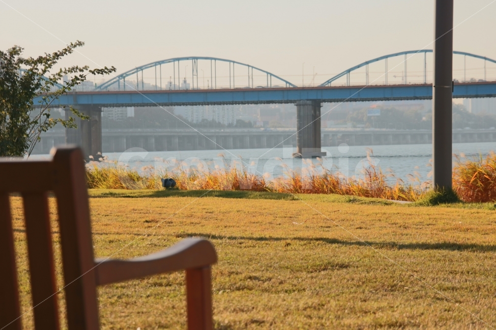 갈대,11월,가을,서울,4시,노을,여행,자연,가을,계절,fall,autumn,season,도시,풍경,city,landscape,한국도시풍경,한국도시경관,korea cityscape,building,건물,architecture,건축물