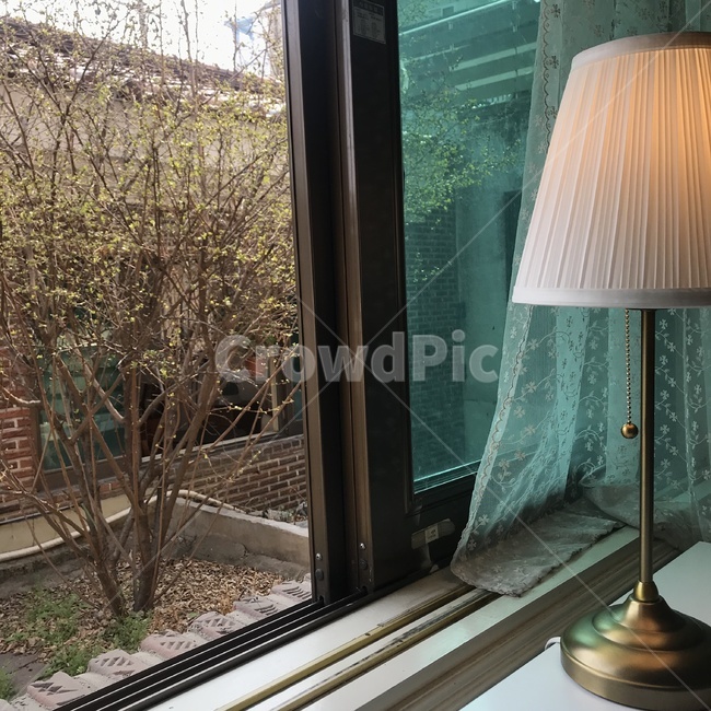 주택,창가,오후,스탠드,카페,인테리어,실내디자인,interior design