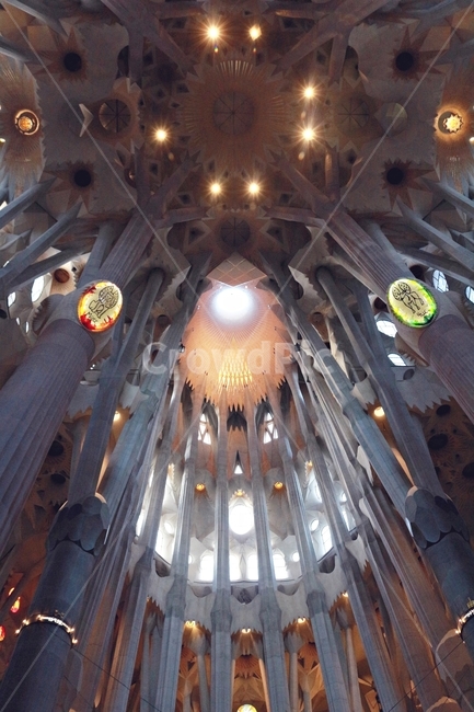 sagradafamilie,spain,roof,ceiling,Barcelona,Sagrada Familia,natural light,pattern,scenery,building,Spain,religion,Gaudis masterpiece,pillar,form,light,Gaudi,landmark,cathedral,landscape