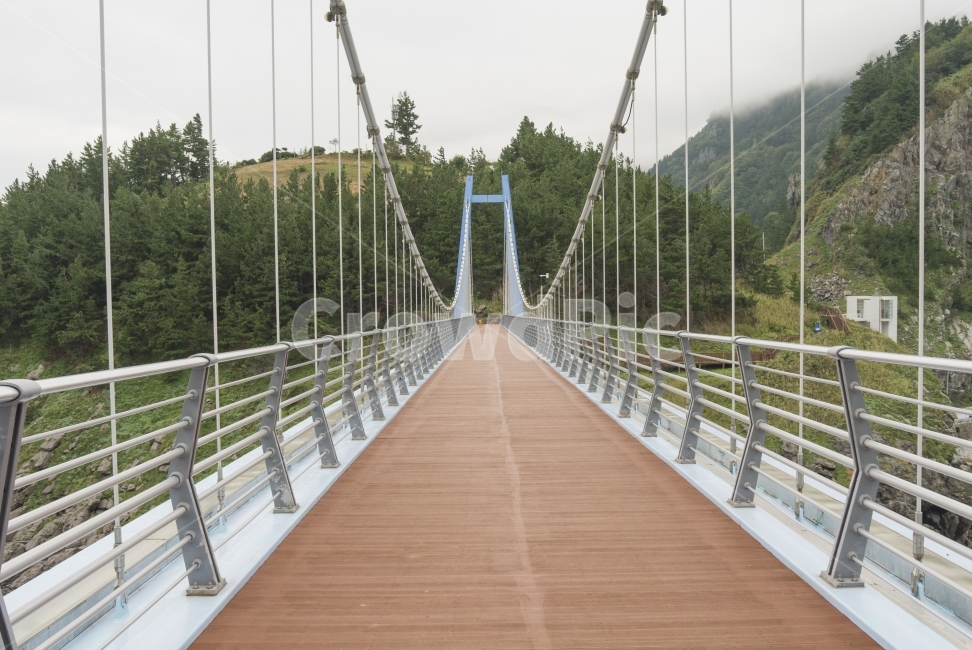 풍경,landscape,다리,bridge,자연,nature,생동감,fresh,나무,wood,감성,하늘,sky,구름,croud,바다,sea,way,식물,plant,건축물,건물외관,exterior,building,structure,architecture,construction