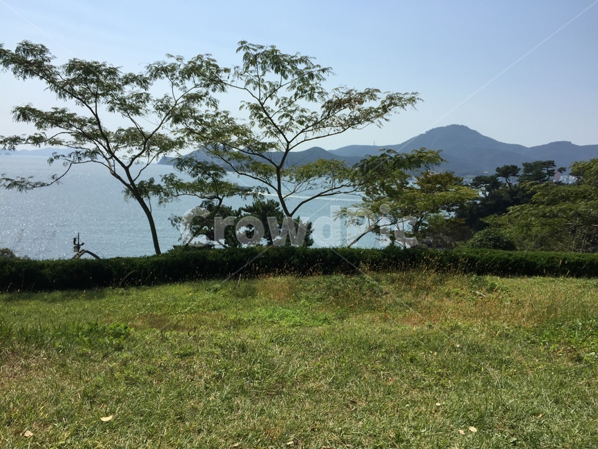 자연,바다,초원,나무,들판,자연,풍경,nature,landscape,outdoors,옥외,grassland,목초지,field,들