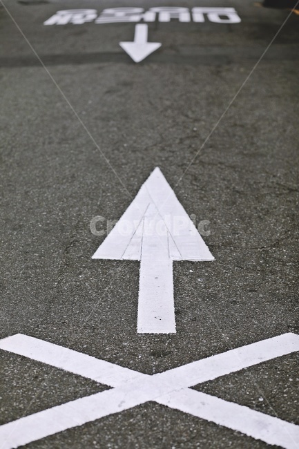 도로표지,일방통행,직진금지,roadmarking,아스팔트,화살표,arrow,교통,교통수단,traffic,transportation