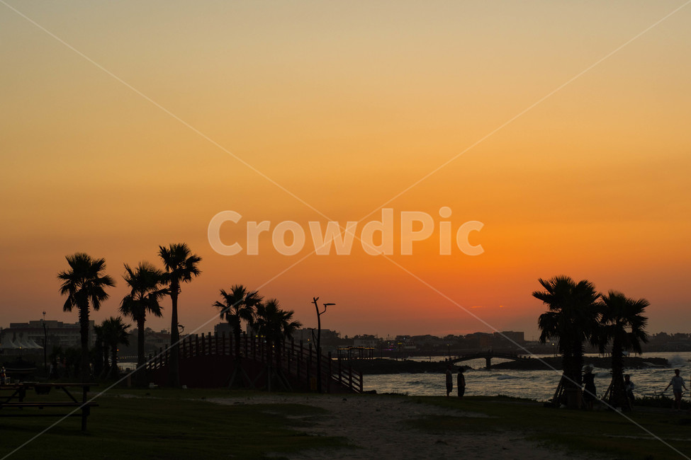 제주도,제주,해변,바다,일몰,노을,파도,풍경,자연,풍경,nature,landscape,한국자연풍경,한국자연경관,korea nature landscape,제주도,jeju,jeju island,실루엣,그림자,silhouette,shadow,outdoors,옥외,dawn,새벽,red sky,붉은 하늘,dusk,황혼,sunset,sky,하늘,human,인간,person,사람