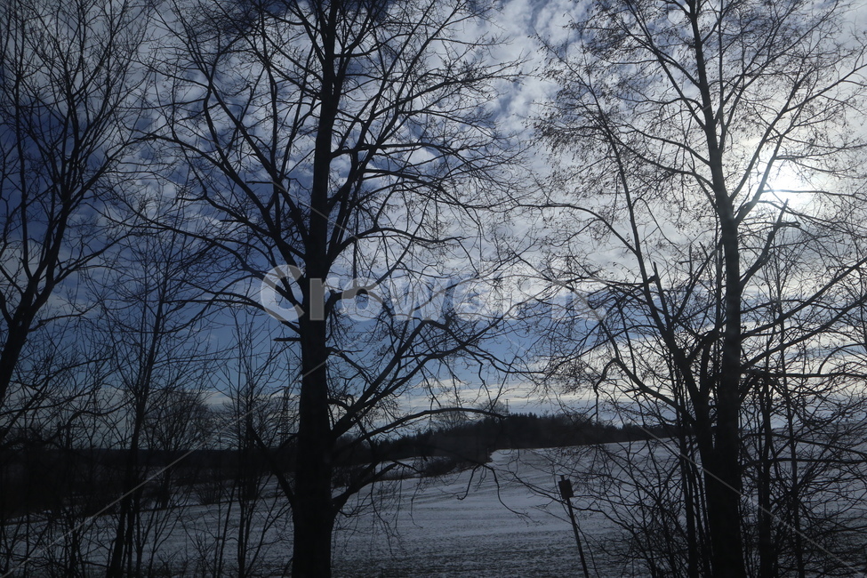 호수,자연,하늘,나무,풍경,자연,풍경,nature,landscape,tree,plant,식물