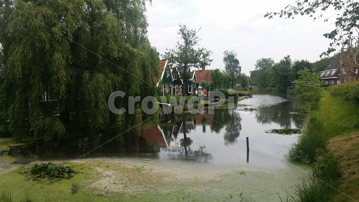 잔세스칸스,네덜란드,풍차마을,zaanse,schans,잔담,netherlands,town,나무,sight,spot,tree,자연,nature