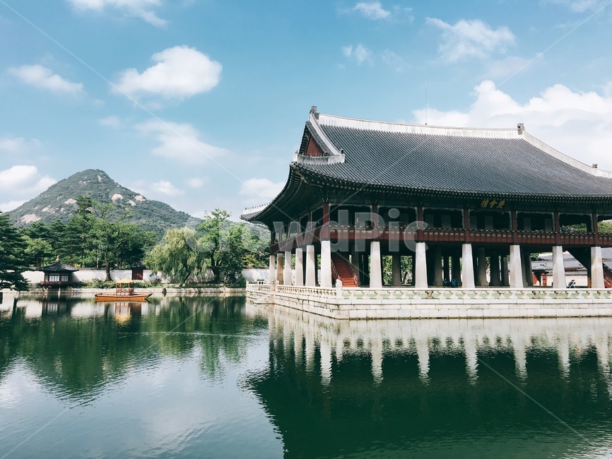 광화문,경복궁,여름,연못,산