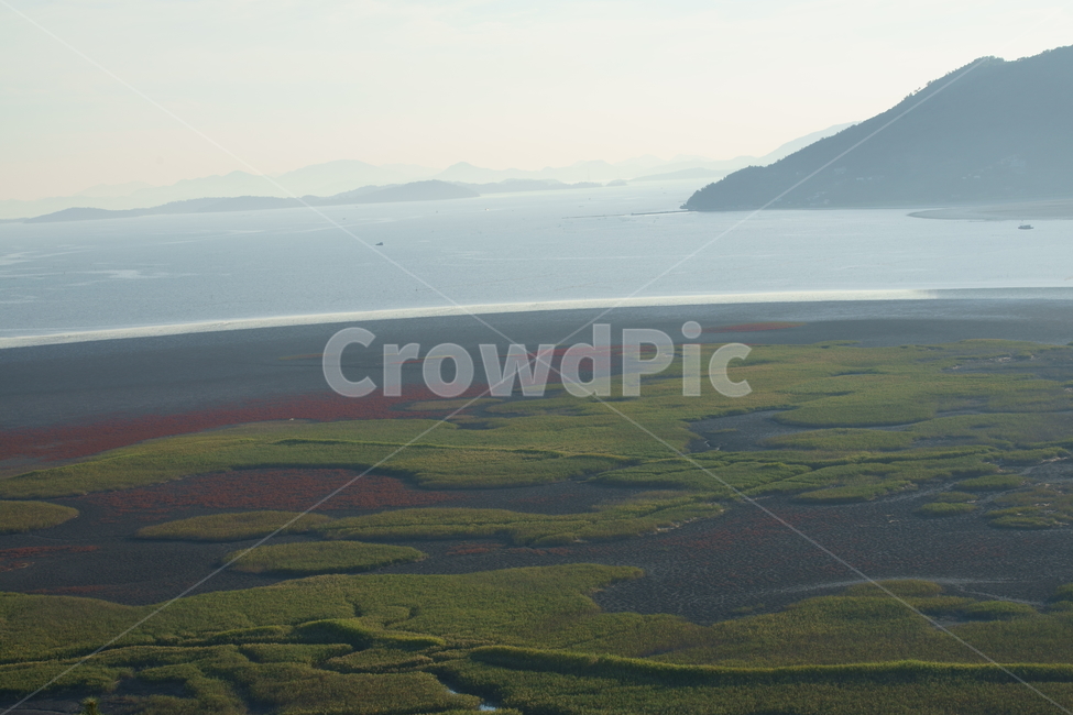 순천만,순천만습지,습지,자연,nature,koreanature,landmark,wetland,korea