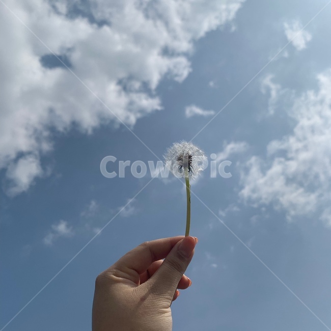 하늘,구름,맑음,날씨,cloud