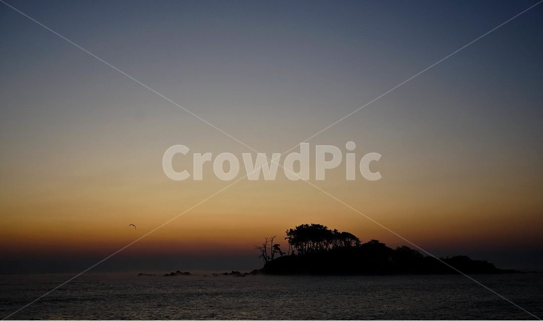일출,여명,새벽,섬,바다,동해,자연,풍경,nature,landscape,outdoors,옥외,dusk,황혼,sunset,일몰,sky,하늘,dawn,red sky,붉은 하늘