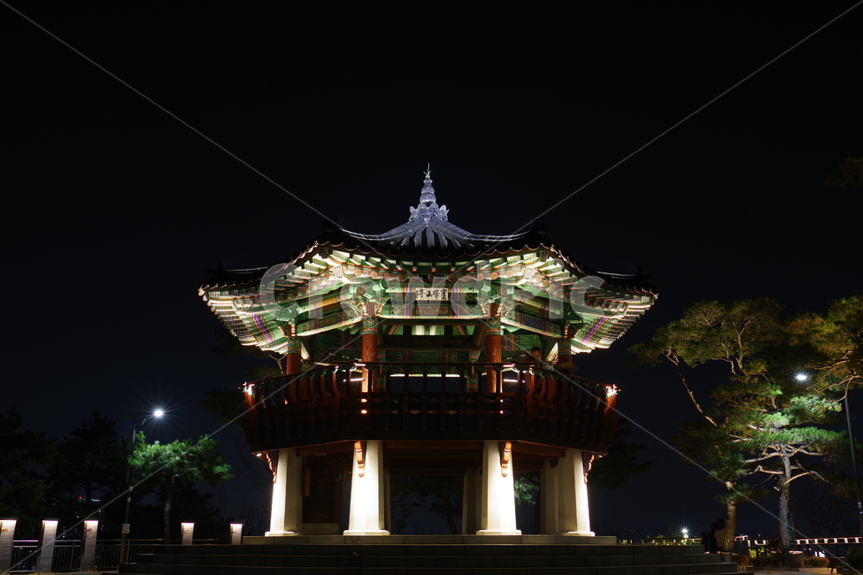 응봉산,팔각정,야경,night,정자