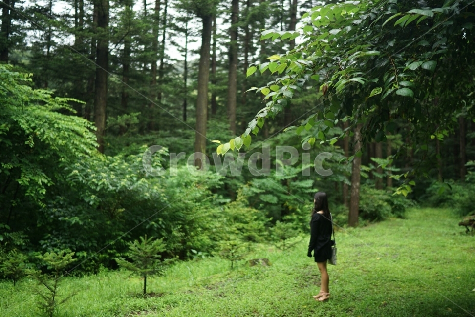 초록,숲속,산책,산림욕,혼자,나무,자연,풍경,nature,landscape,사람,인물,인간,human,person,여성,여자,woman,female,lady,vegetation,초목,plant,식물,tree,forest,숲,outdoors,옥외,land,땅,woodland,삼림지