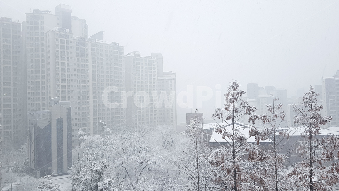 겨울,눈,눈보라,폭풍,자연,snow,winter,storm,nature,koreawinter,blizzard