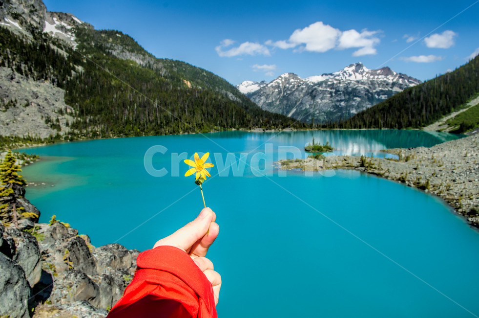 민들레,푸른호수,에메랄드,꽃,노랑,자연,풍경,nature,landscape,해외,외국,세계,foreign,oversea,world,세계자연풍경,해외자연풍경,외국자연풍경,world nature landscape,outdoors,옥외,water,물