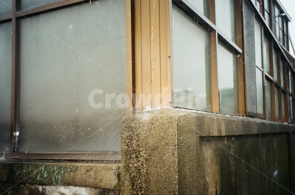 비,건물,창문,필름카메라,필름사진,건축물,건물외관,exterior,building,structure,architecture,construction