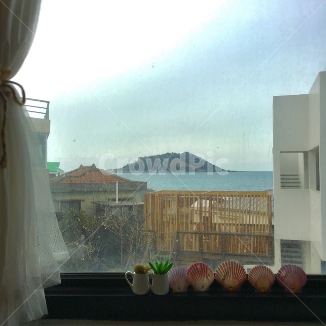 제주,풍경,조개,바다,제주도