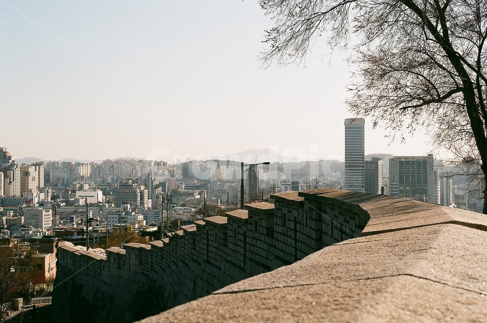 서울,낙산공원,풍경,필름사진,필름카메라,seoul,film,filmcamera,도시,풍경,city,landscape,한국도시풍경,한국도시경관,korea cityscape,경치,nature,자연,outdoors,옥외,scenery
