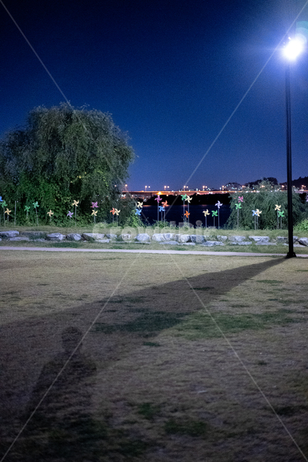 공원,park,산책,가로등,한강,river,식물,plant,그림자,혼자,alone,shadow,야경,night,light,야경,밤,풍경,nightscape,night,landscape