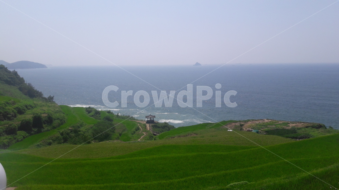 바다,다랭이,밭,자연,풍경,자연,풍경,nature,landscape,field,들,outdoors,옥외,grassland,목초지