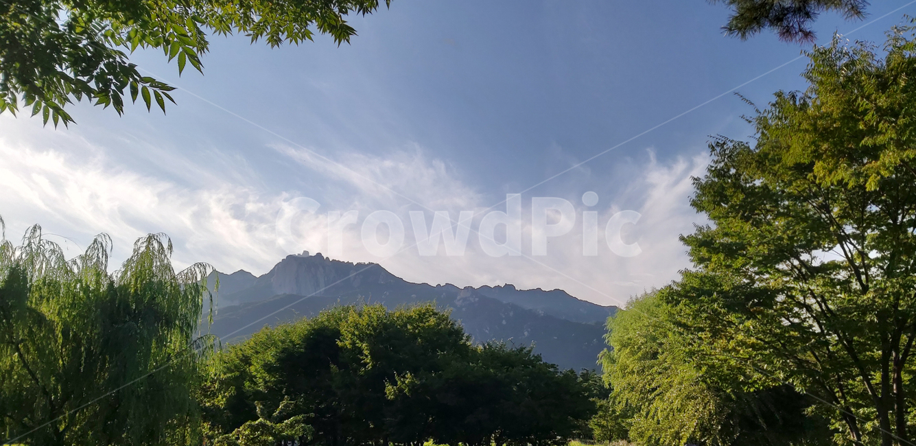 서울창포원,도봉산,산,나무,하늘,구름,자연,changpowon,dobongsan,mountain,trees,sky,clouds,nature,자연,풍경,nature,landscape,나무,trees,wood,outdoors,옥외,mountain range,산맥