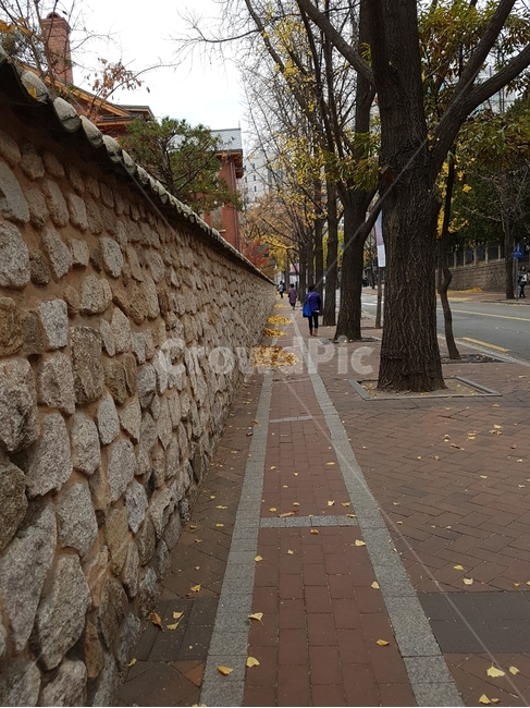 정동길,이화여고,담벼락,은행잎,걷기,가을,계절,fall,autumn,season,자연,풍경,nature,landscape,path,통로,walkway,보도,sidewalk,pavement,포장,flagstone,판석