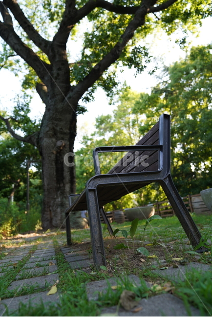 chair,의자,공원,벤치,bench